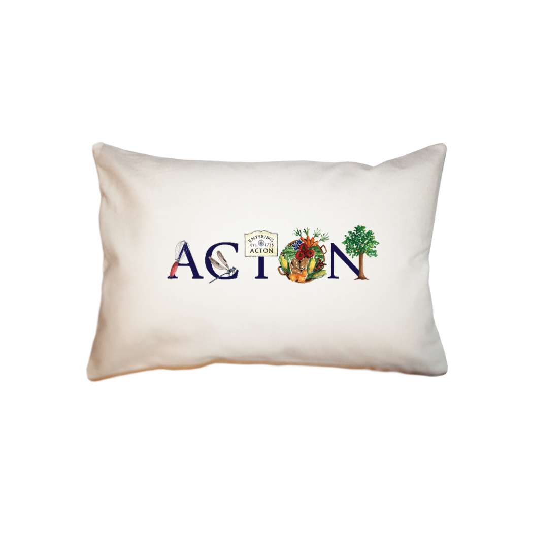 acton  small accent pillow