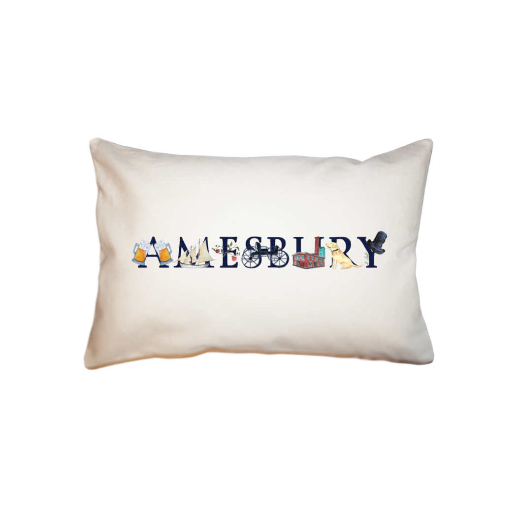 amesbury small accent pillow