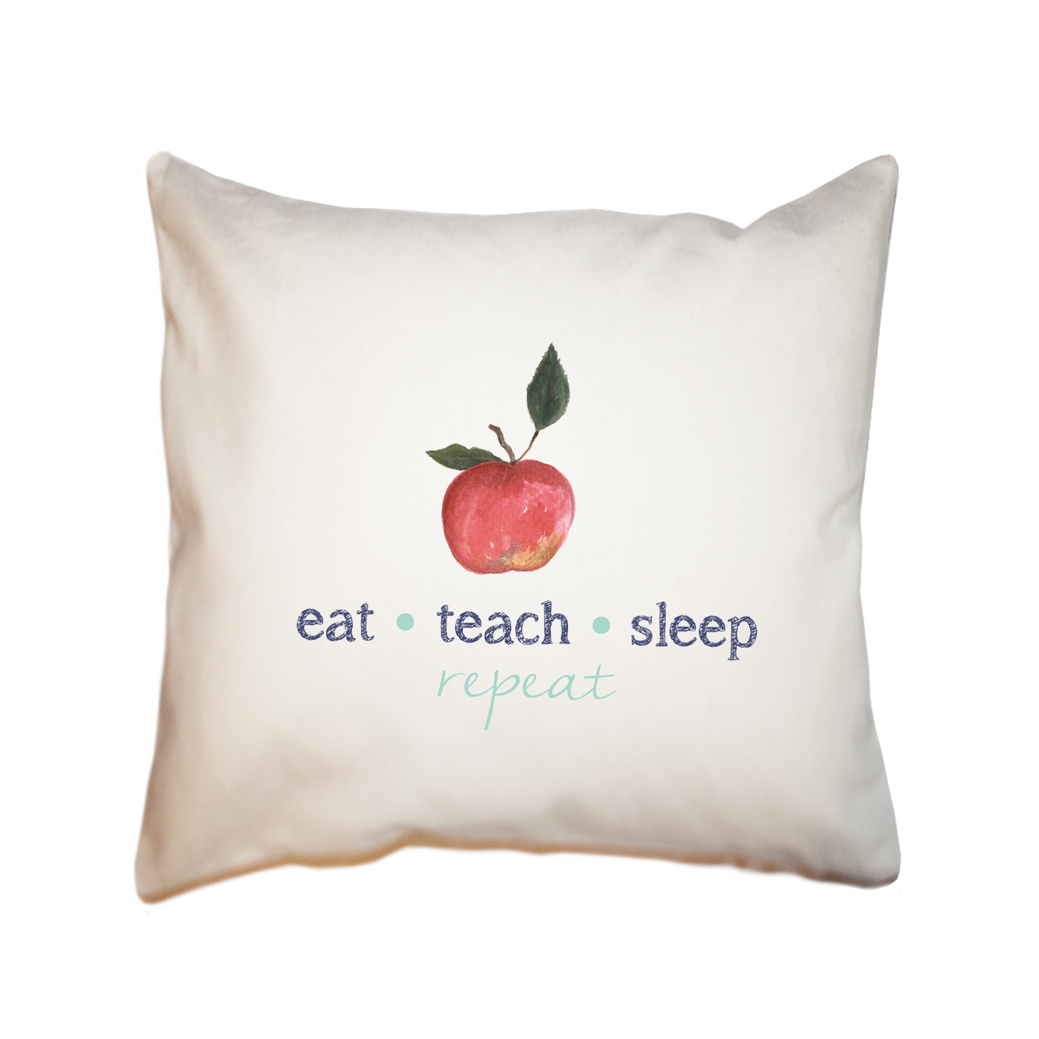 eat teach sleep repeat square pillow