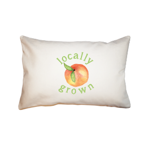 local peach  small accent pillow