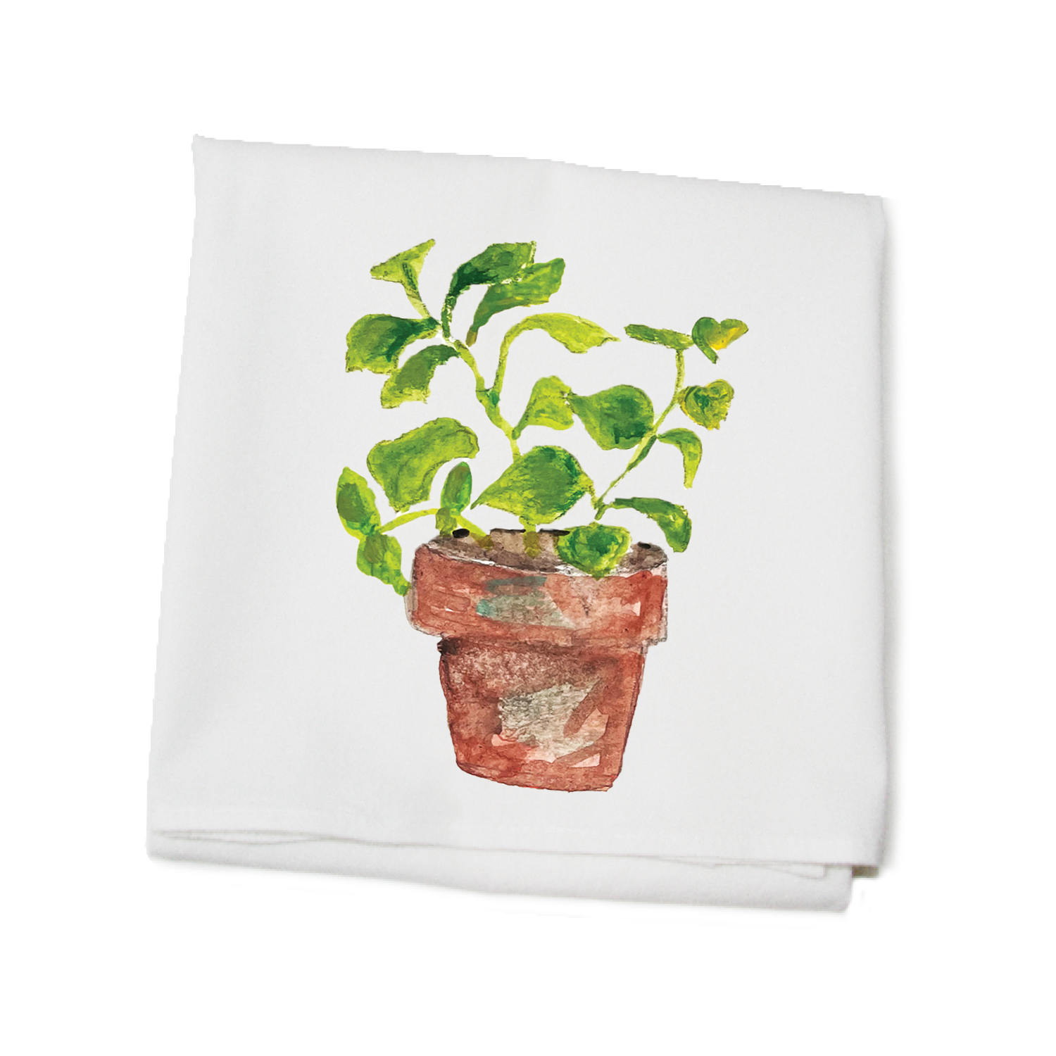 basil in pot flour sack towel