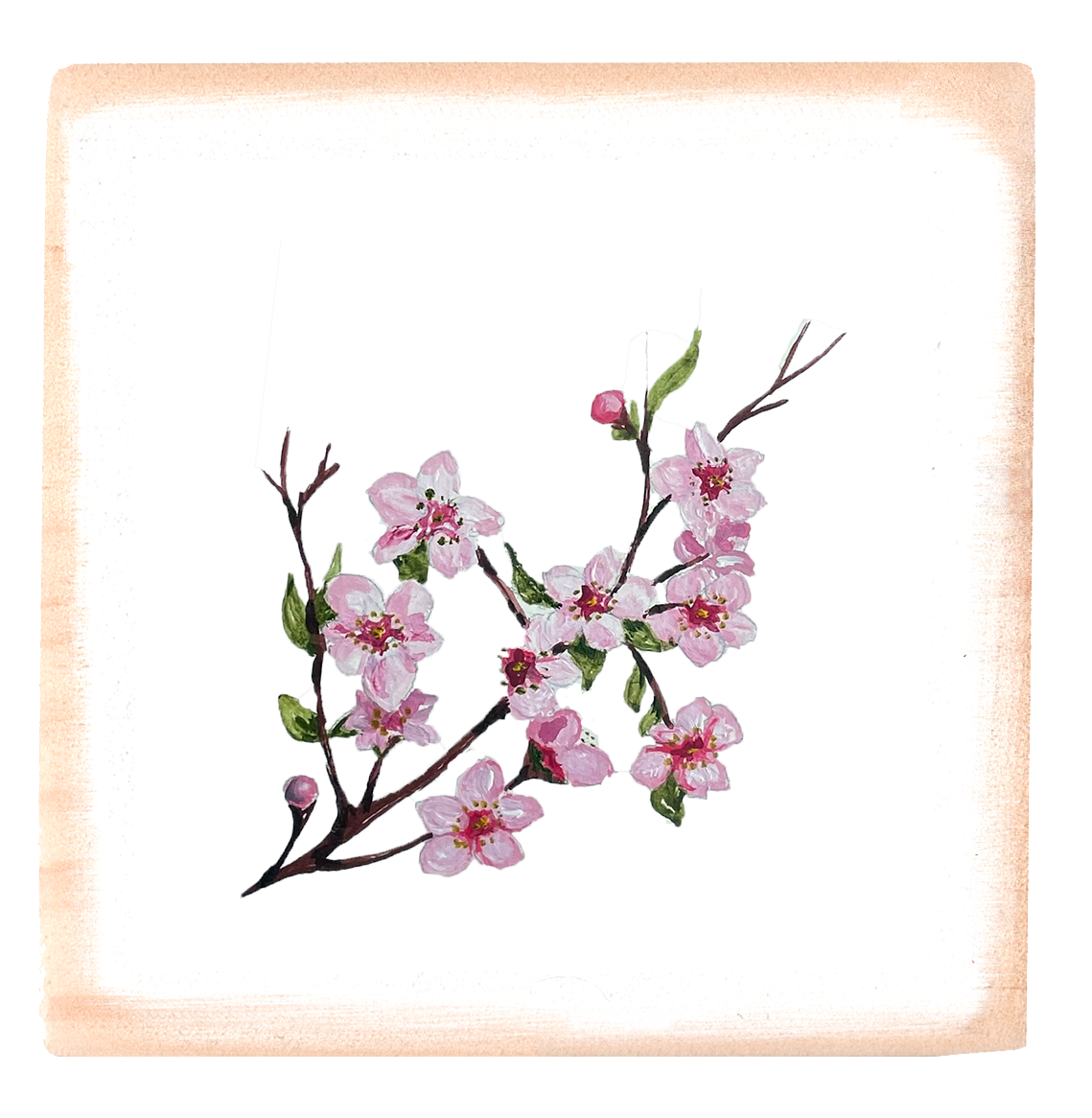 cherry blossoms square block