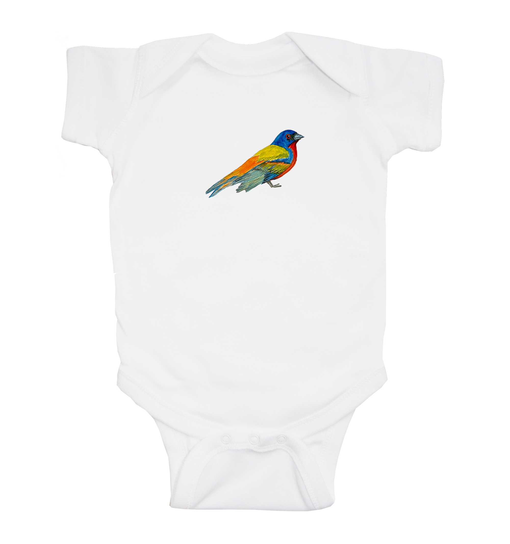 painted bunting baby snap up short sleeve