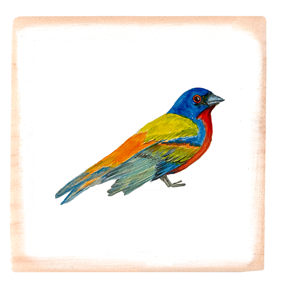 painted bunting square block