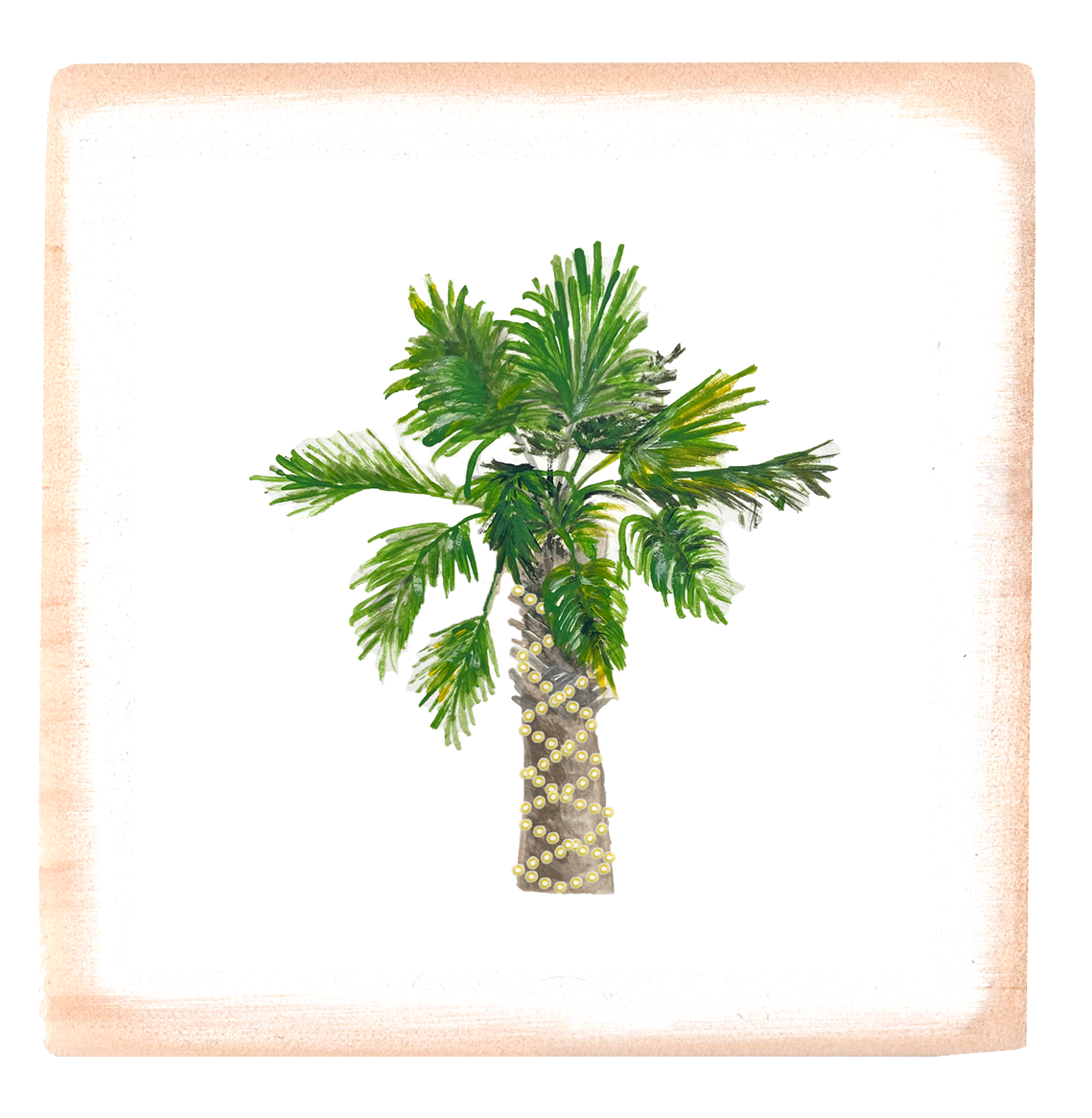 palmetto with lights square block