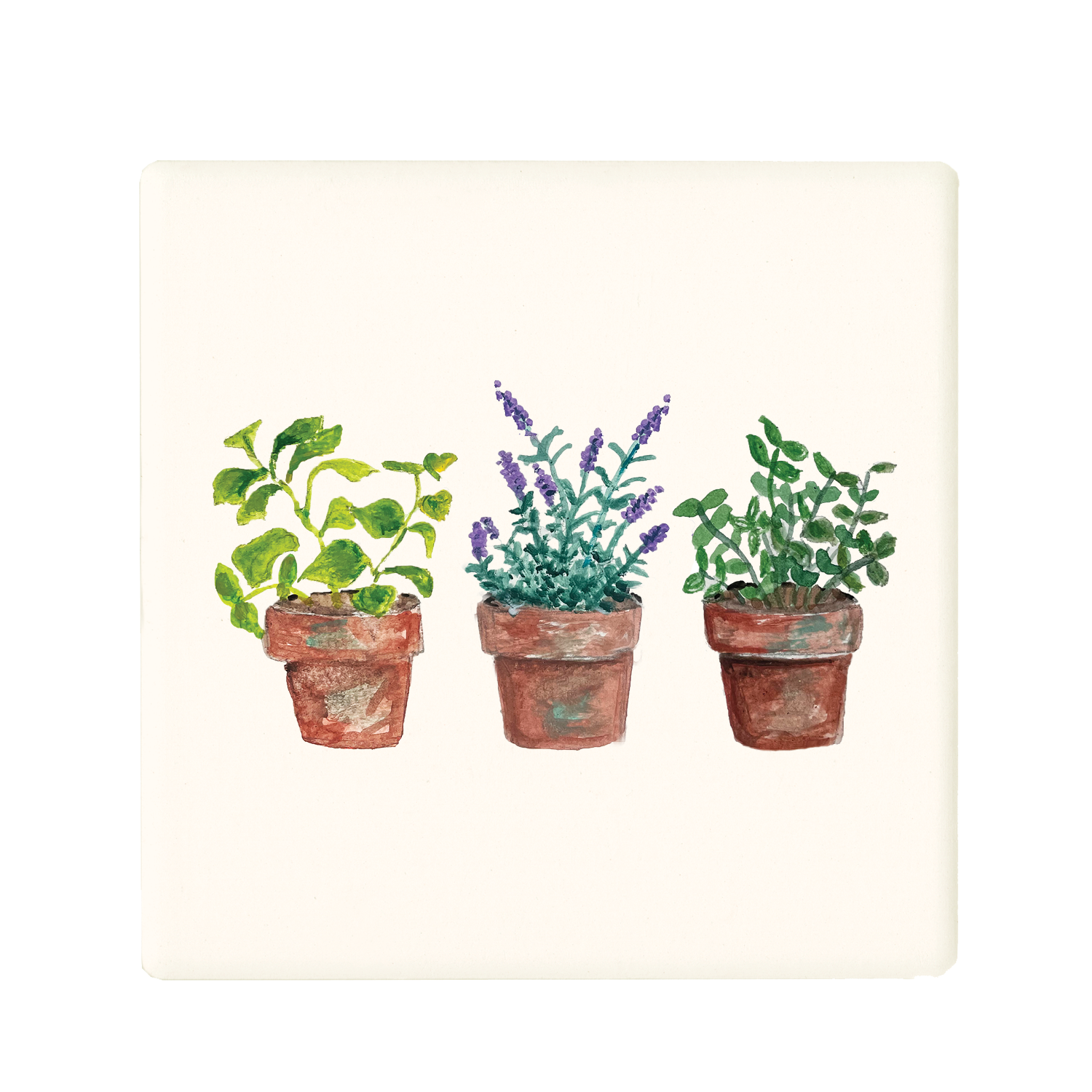 herbs in pot coaster