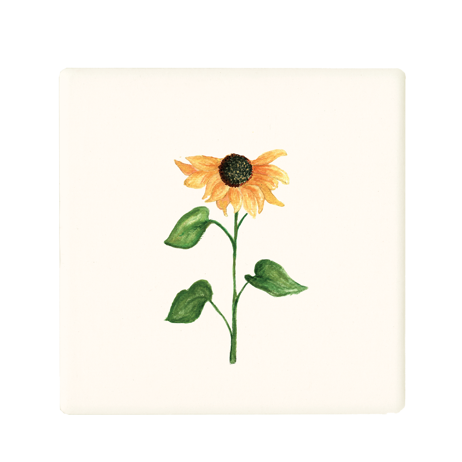 black eyed susan coaster