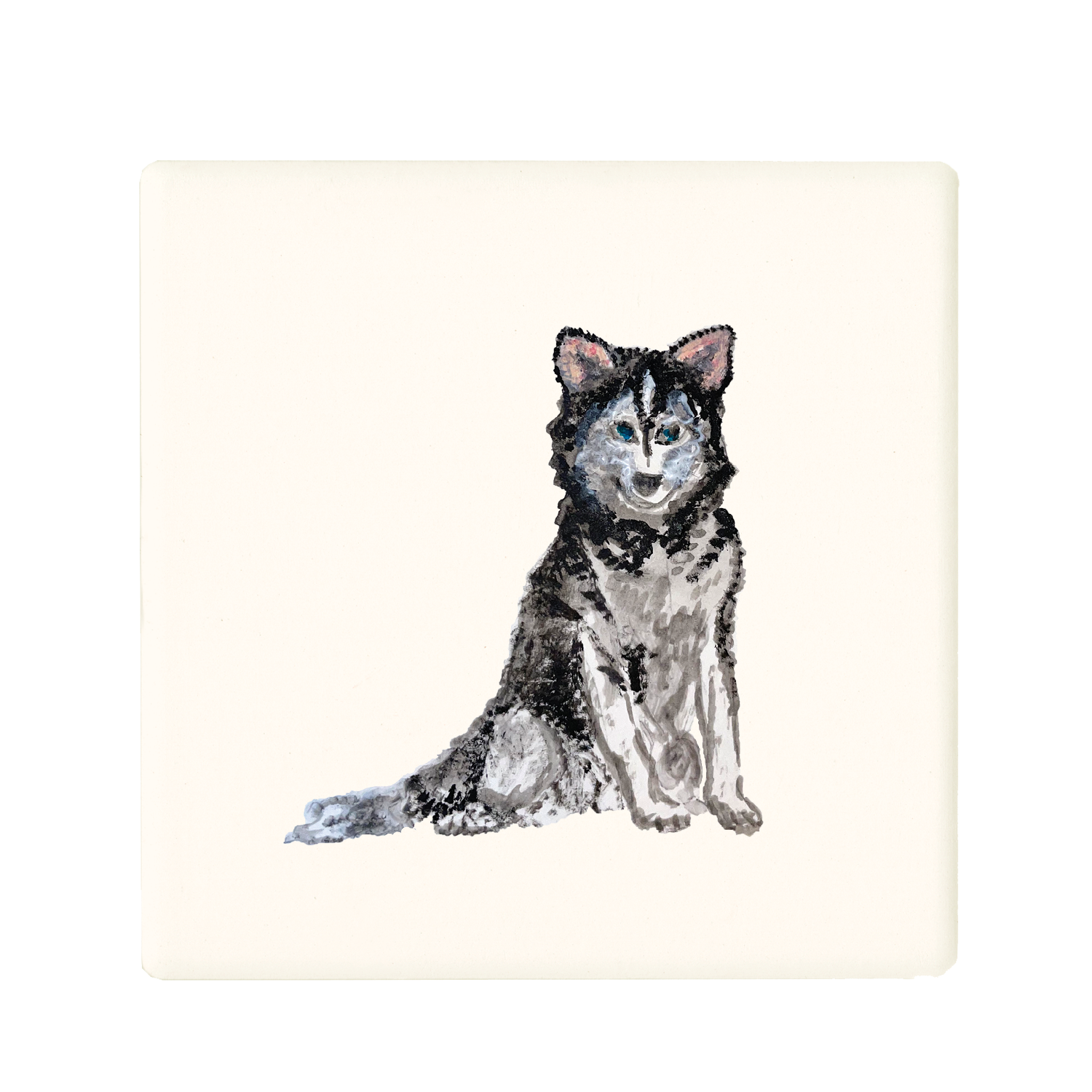 siberian husky coaster