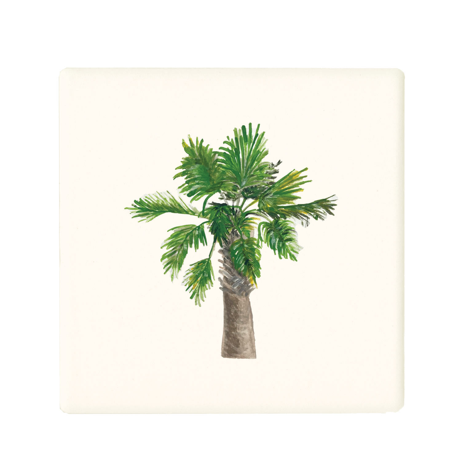 palmetto palm tree coaster