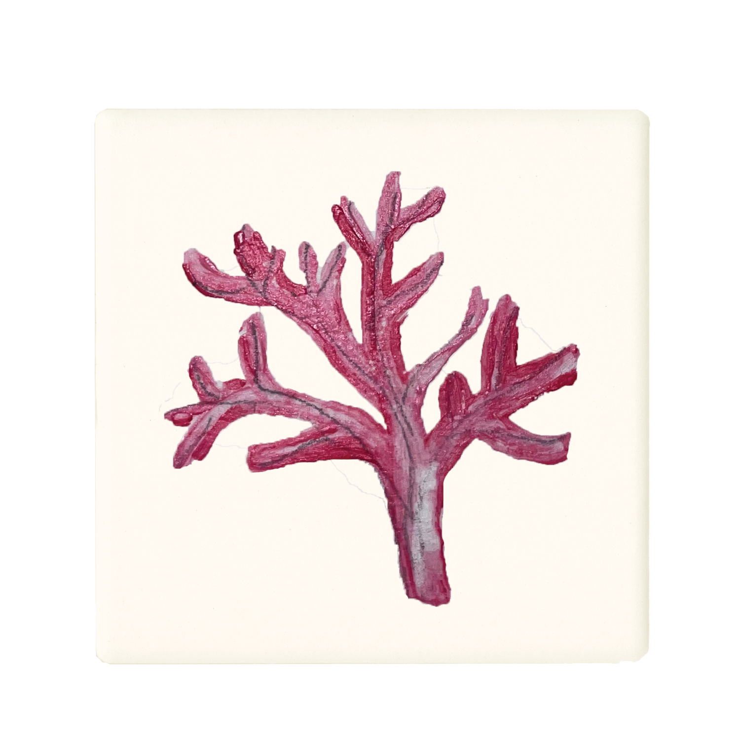 coral pink coaster