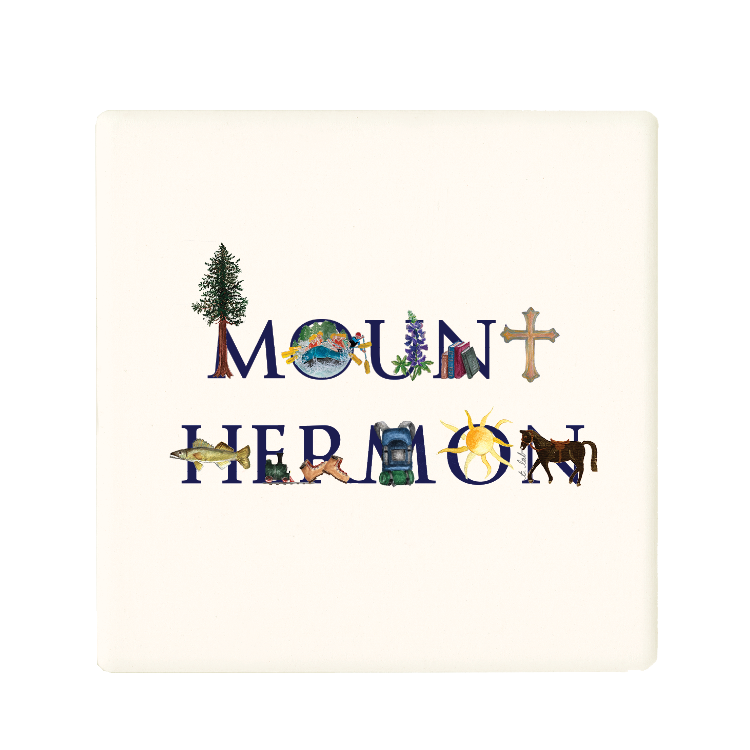 mount hermon coaster
