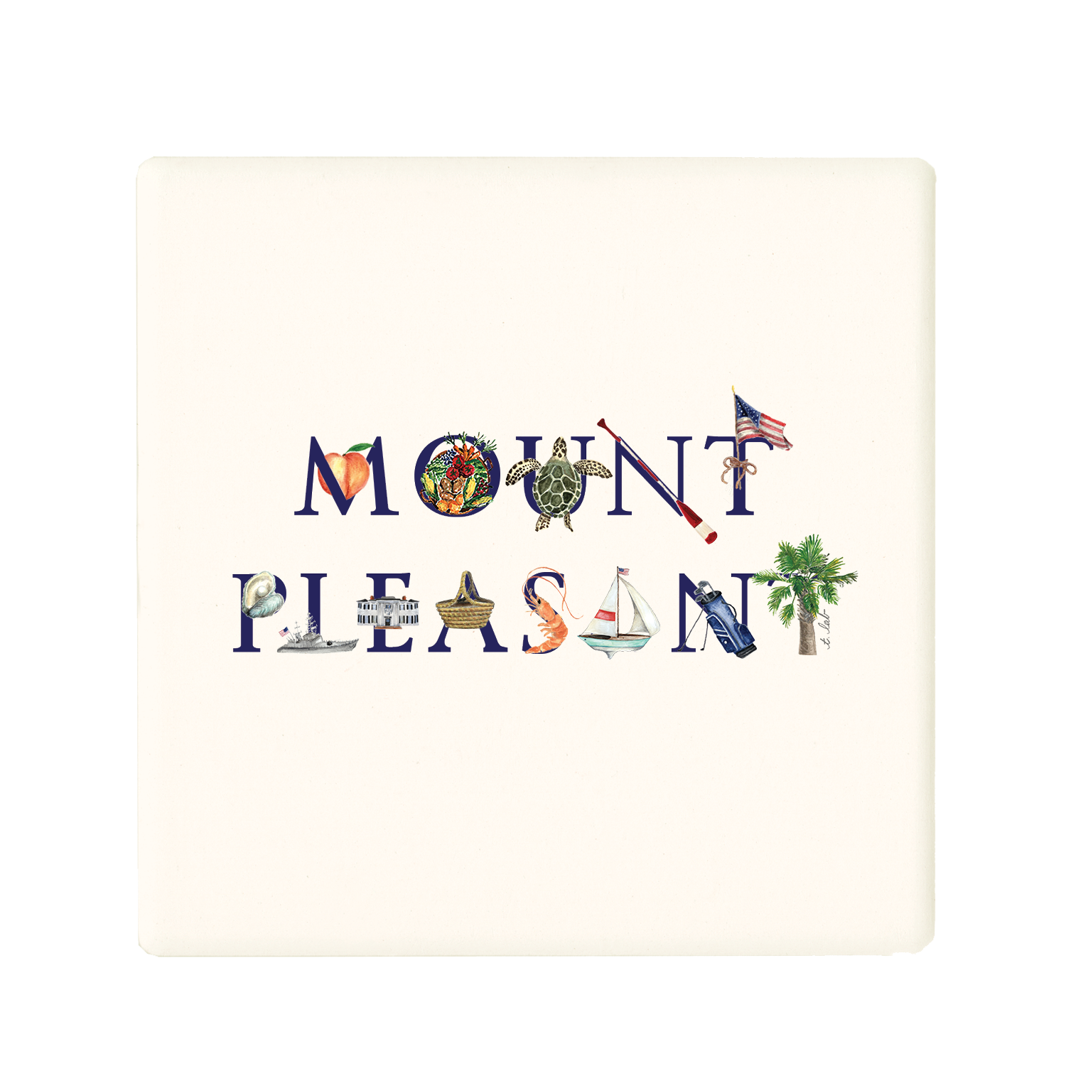mount pleasant coaster