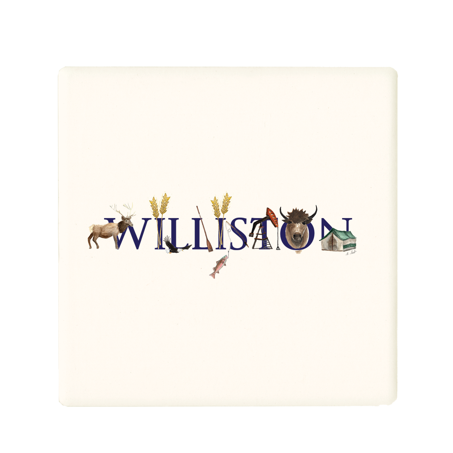 williston nd coaster