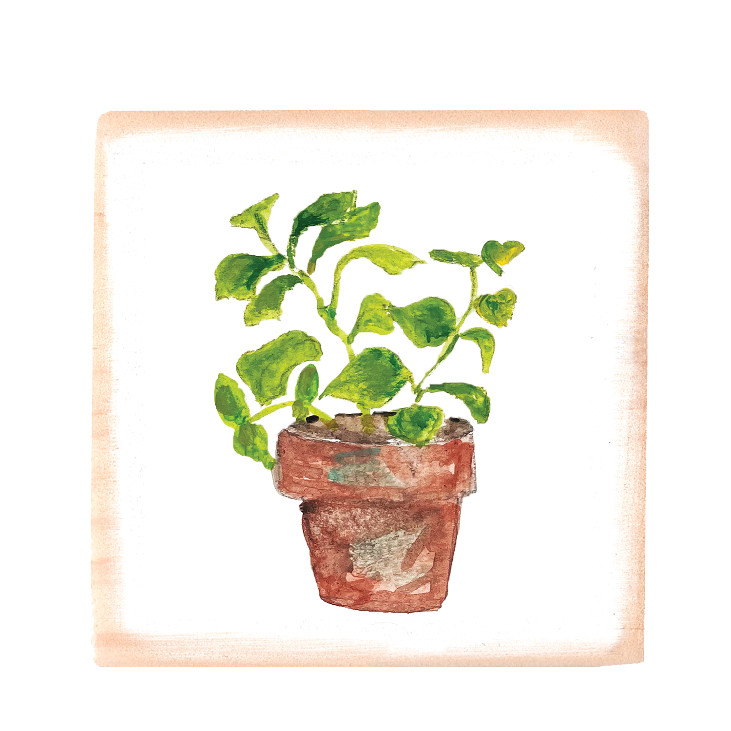 basil in pot wood block