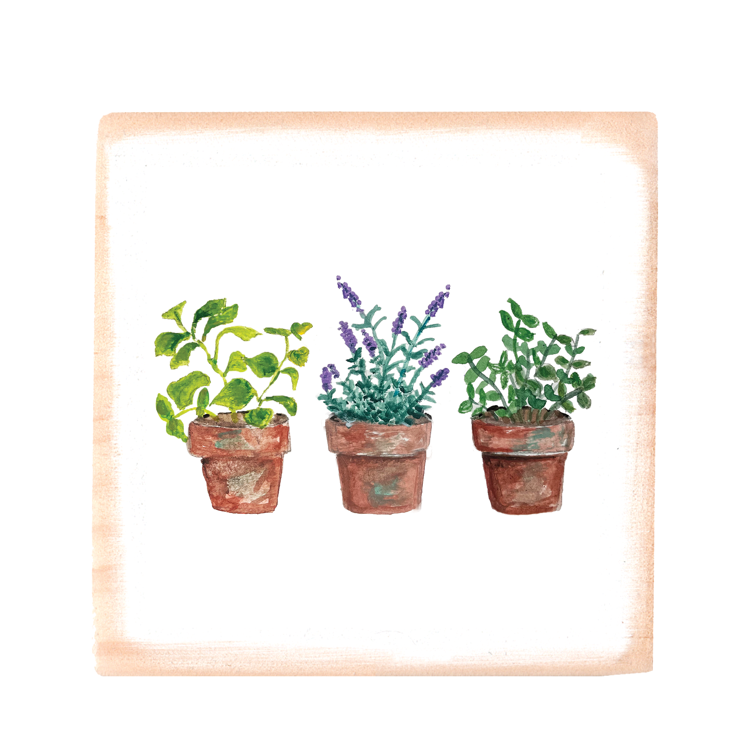 herbs in pot wood block