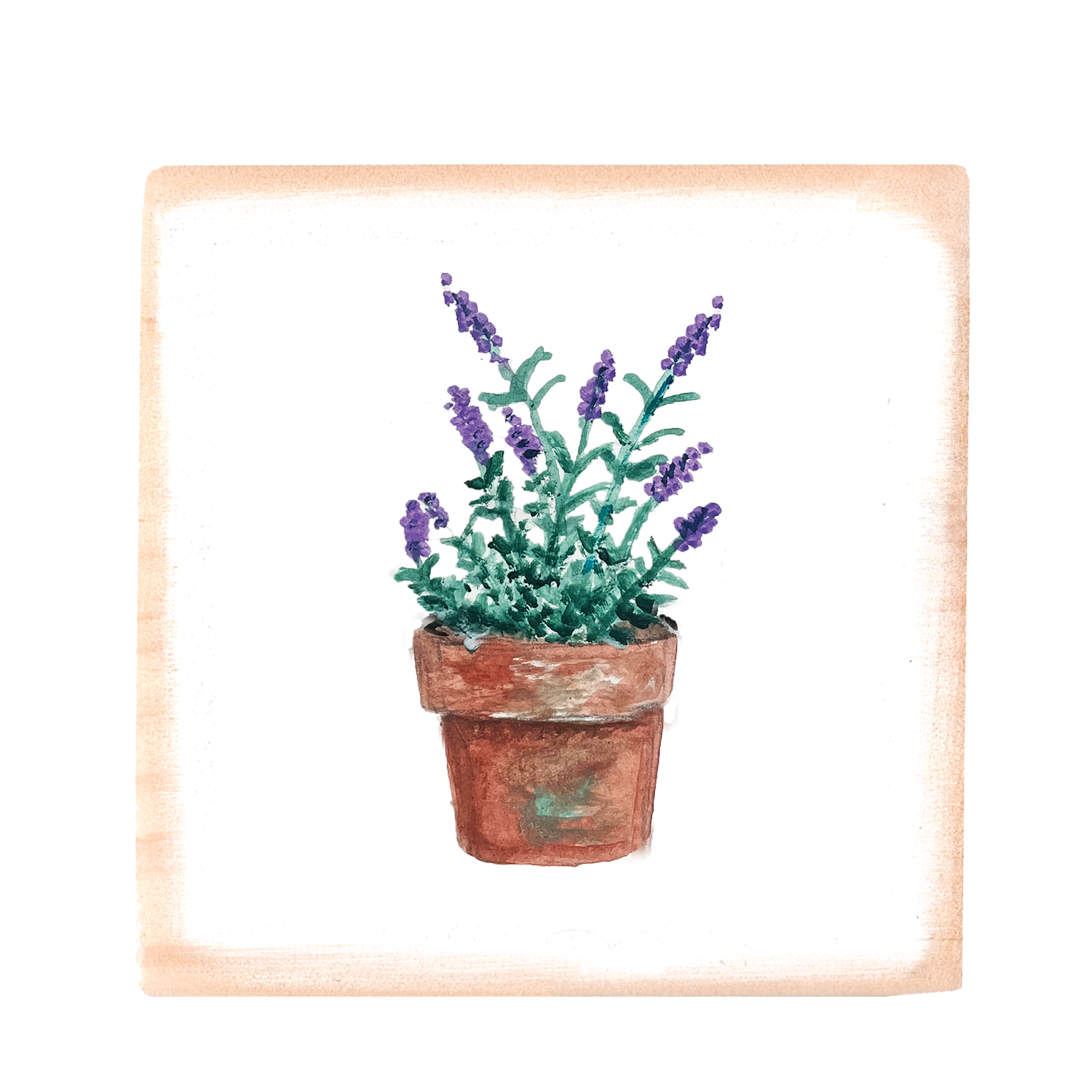 lavender in pot wood block