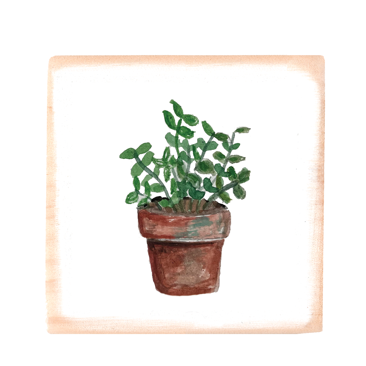 mint in pot wood block