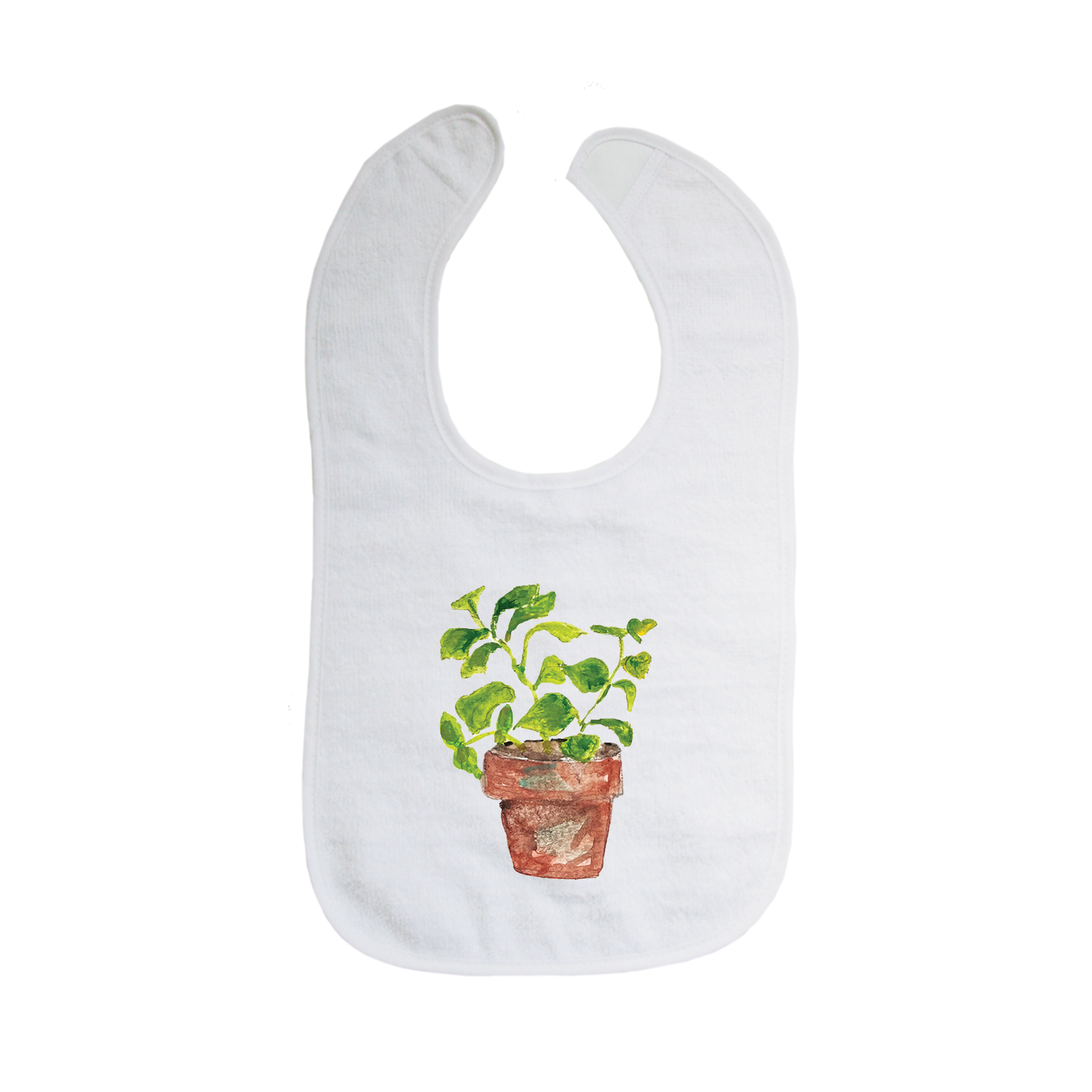 basil in pot bib