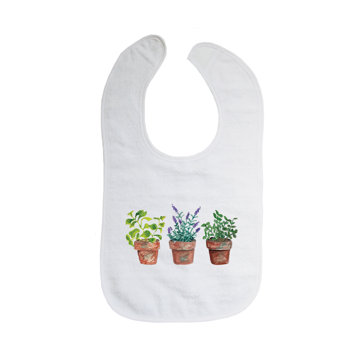 herbs in pot bib