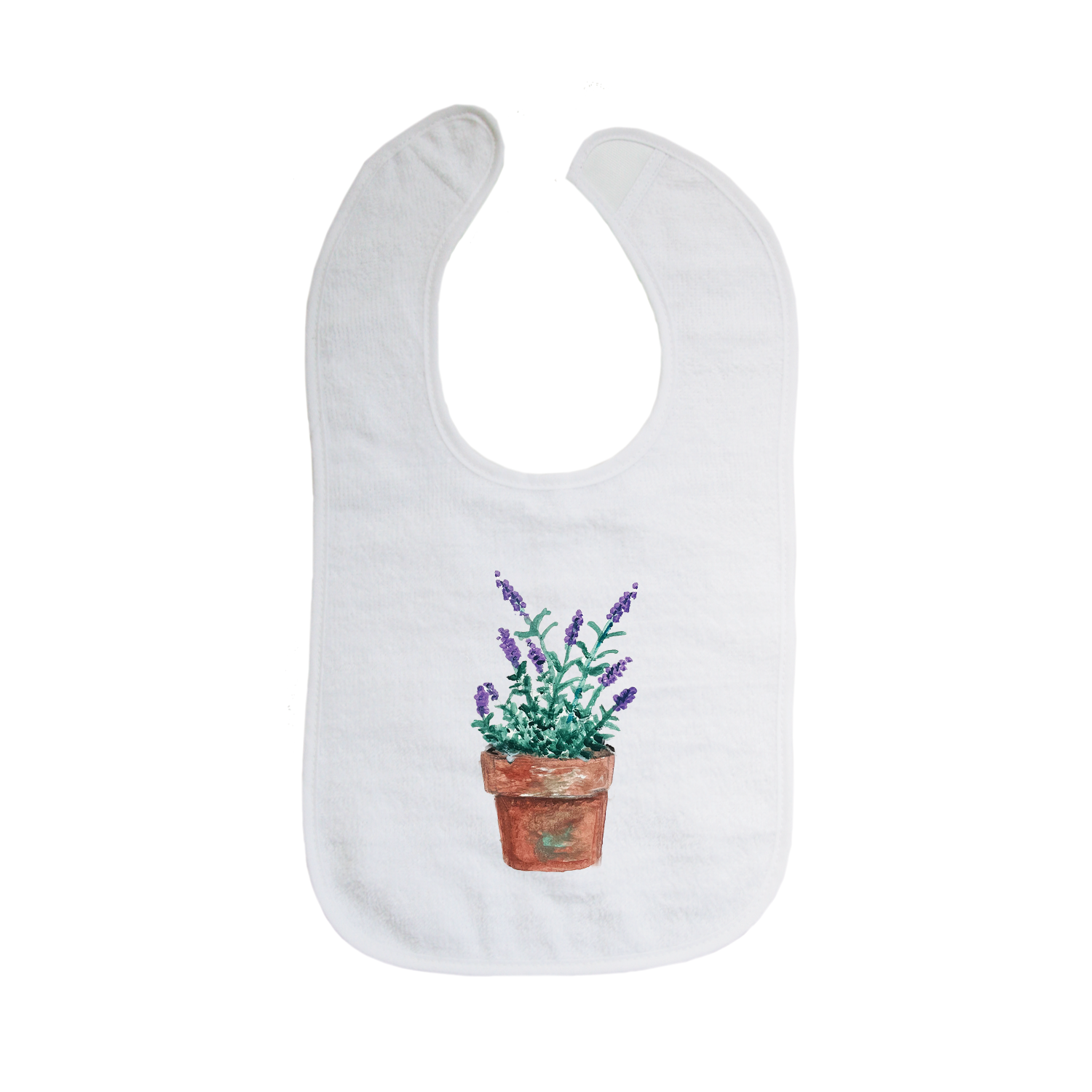 lavender in pot bib