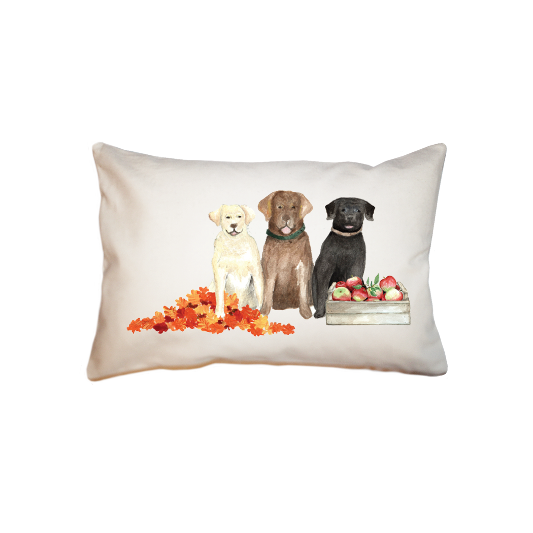 three labs september  small accent pillow