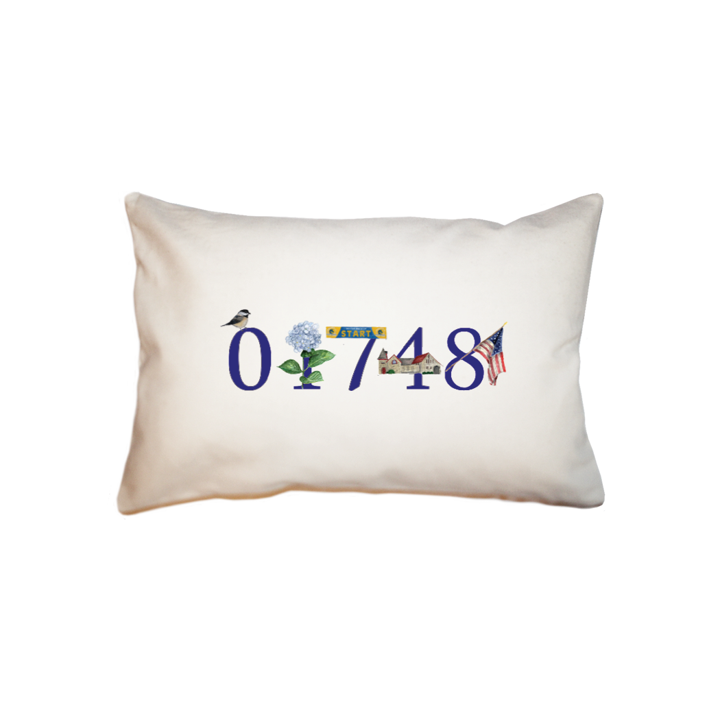 hopkinton zip code 01748  small accent pillow