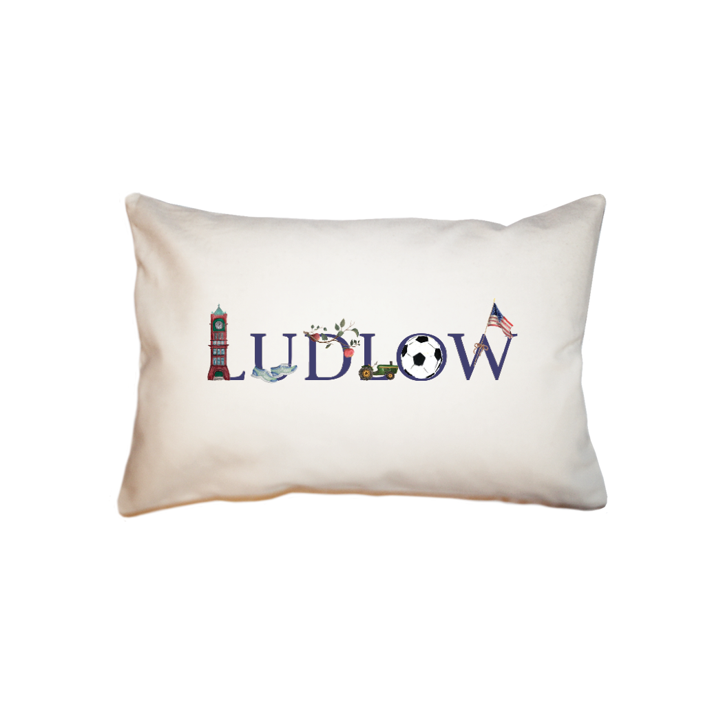 ludlow  small accent pillow