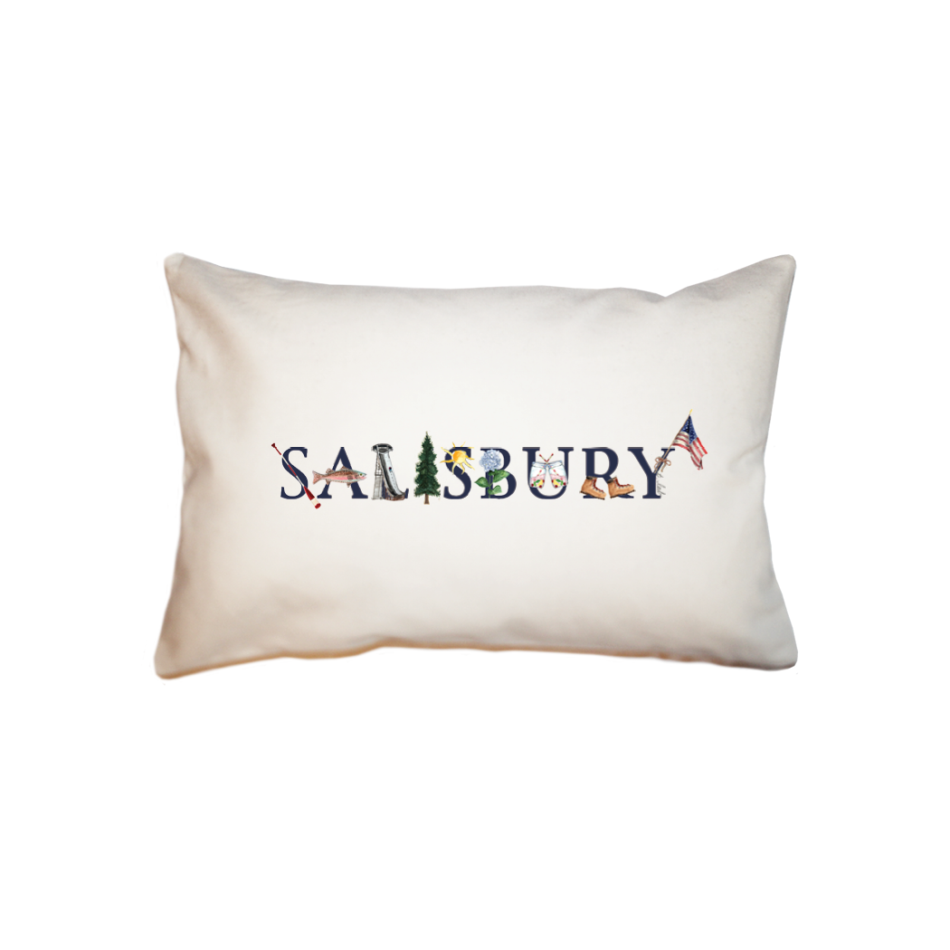 salisbury small accent pillow