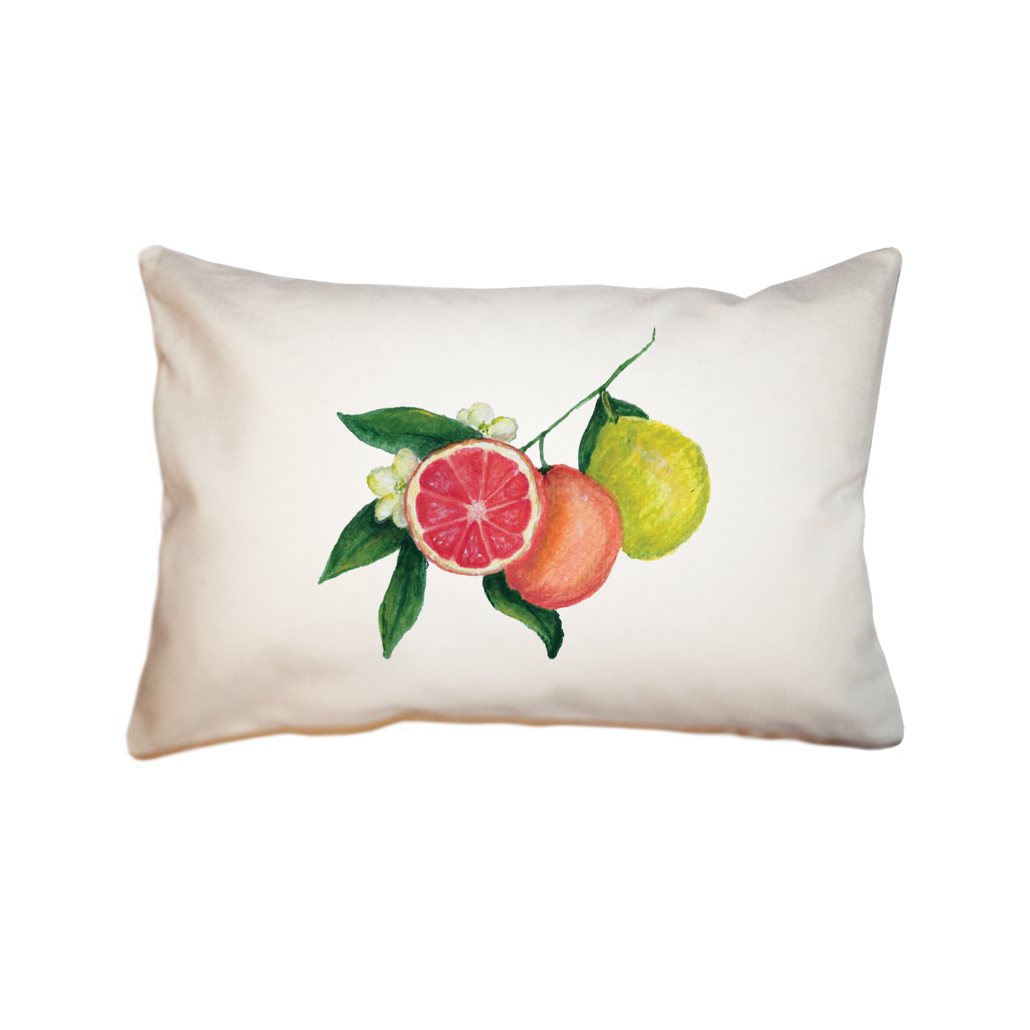 grapefruit large rectangle pillow