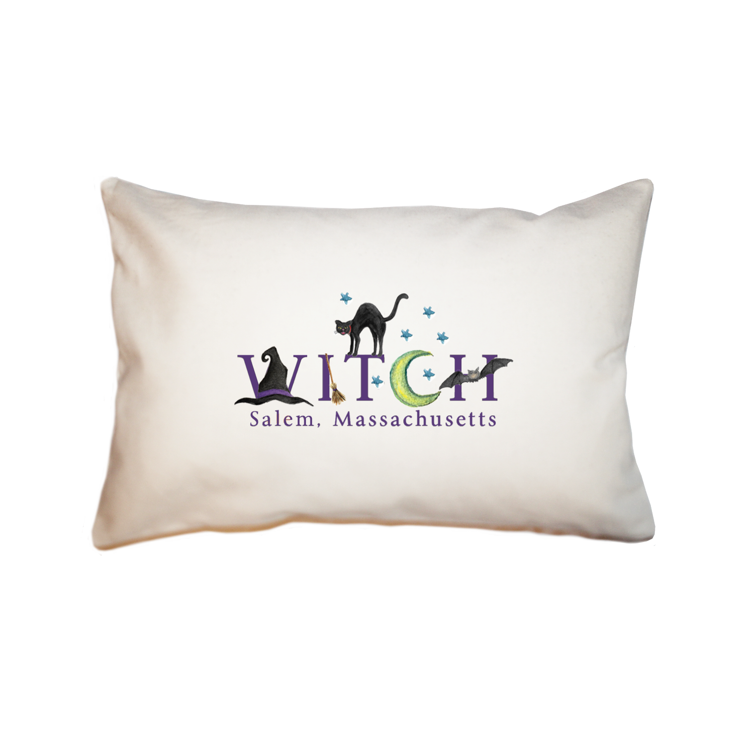 witch salem with black cat large rectangle pillow
