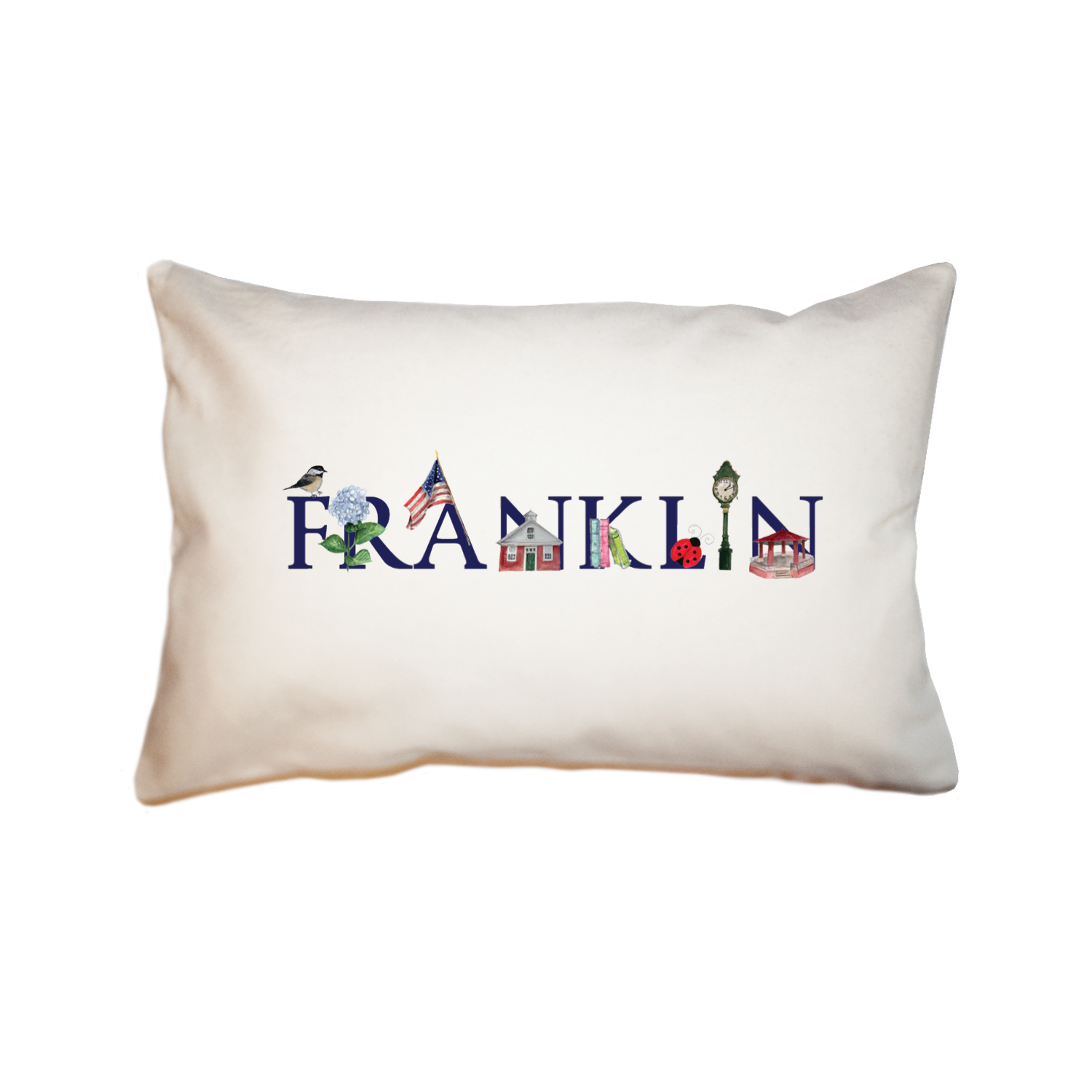 franklin large rectangle pillow