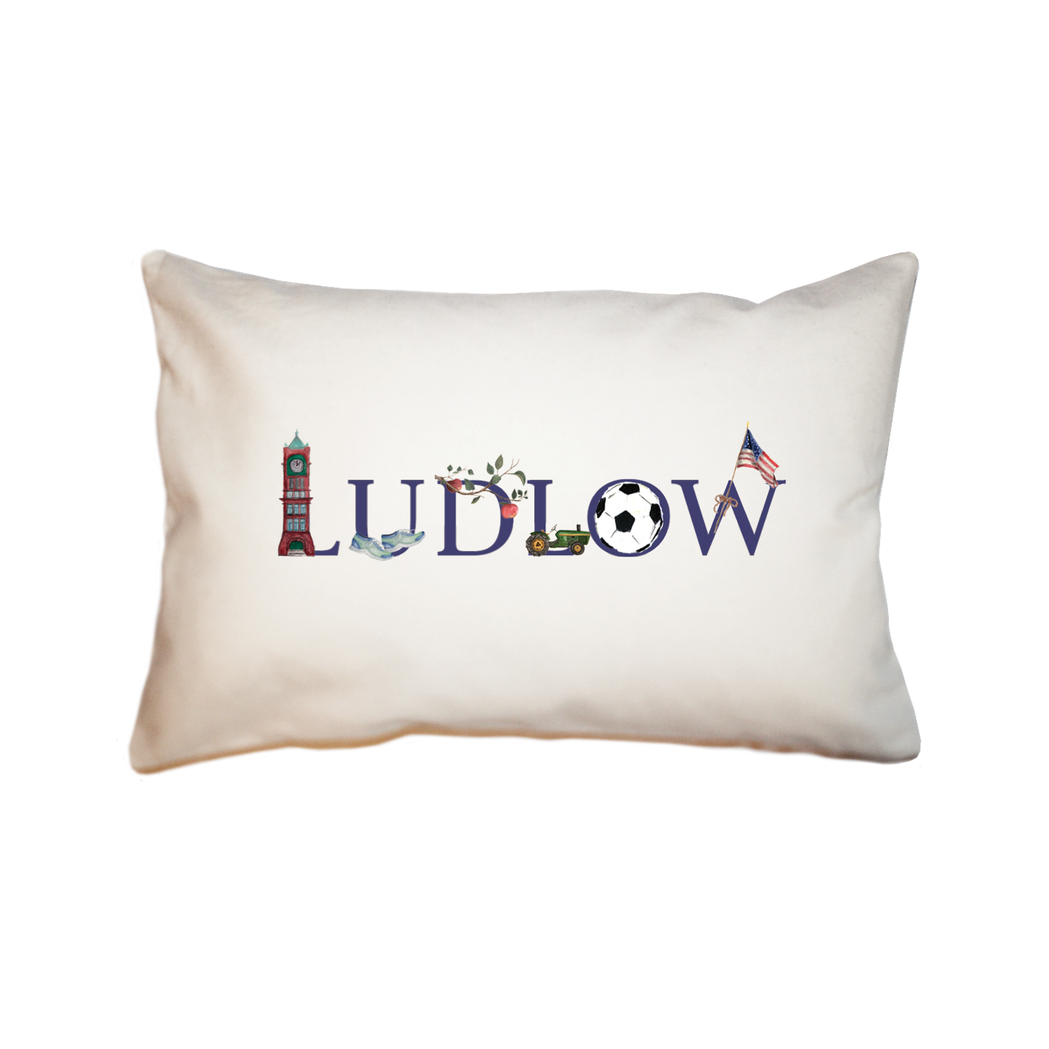 ludlow large rectangle pillow