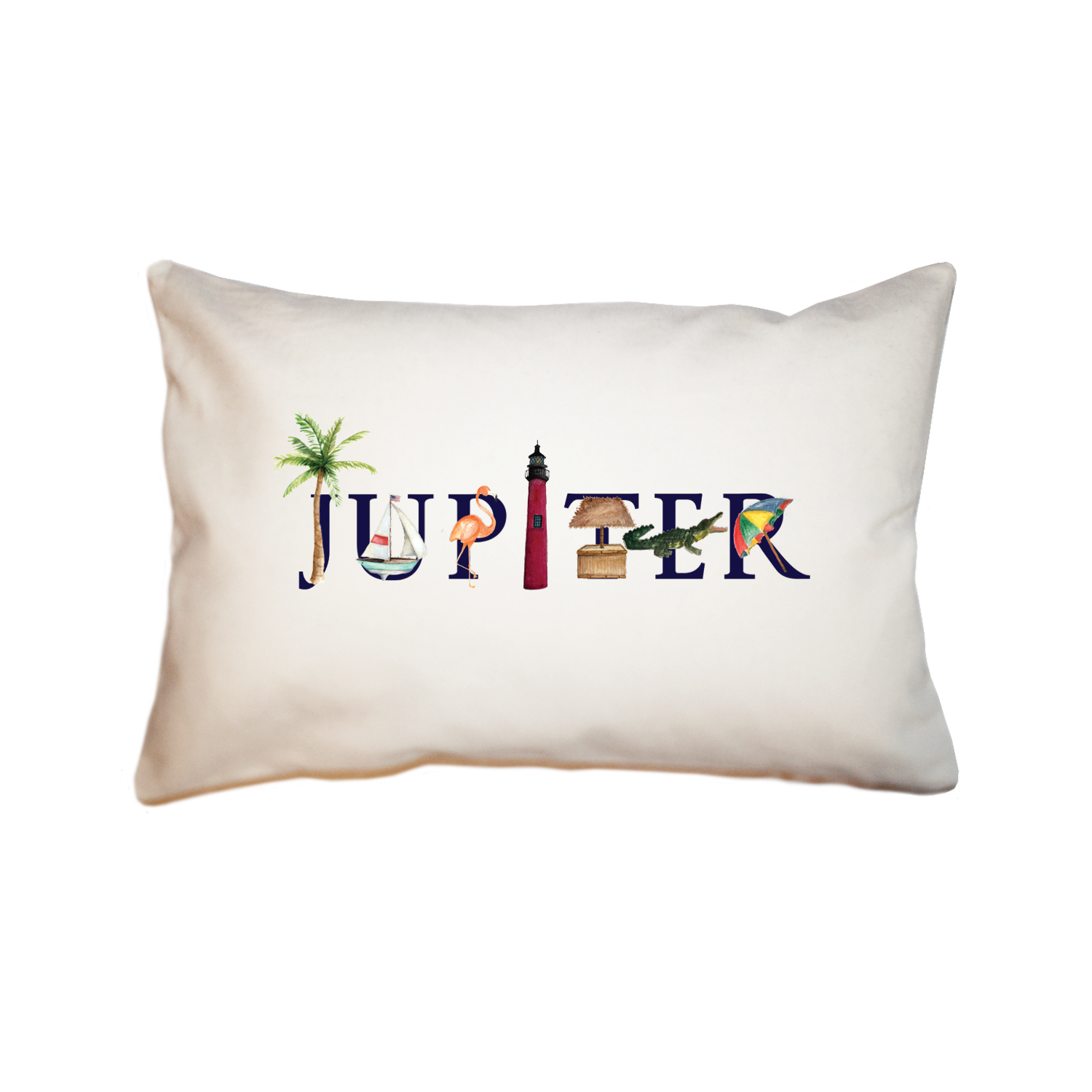 jupiter large rectangle pillow