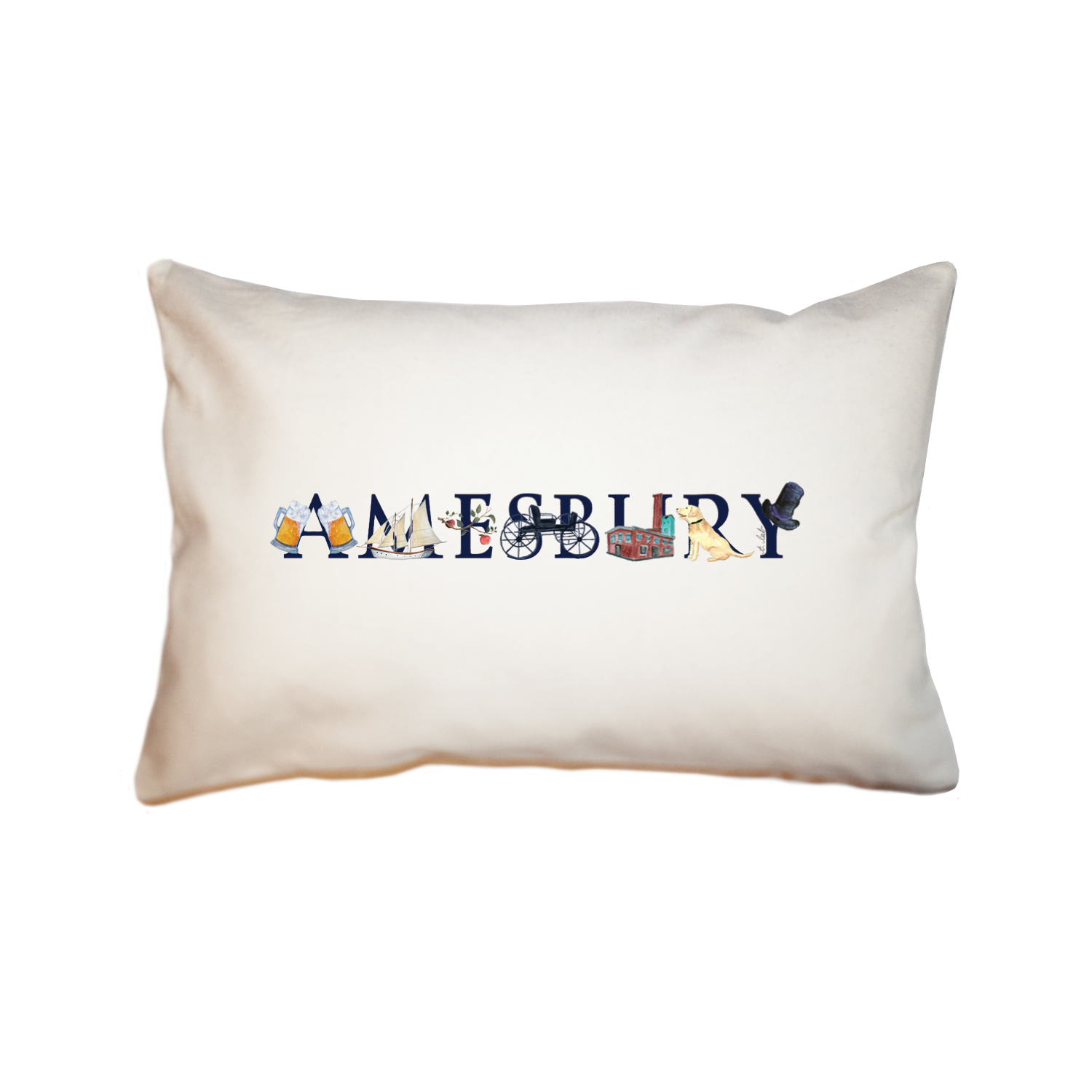 amesbury large rectangle pillow