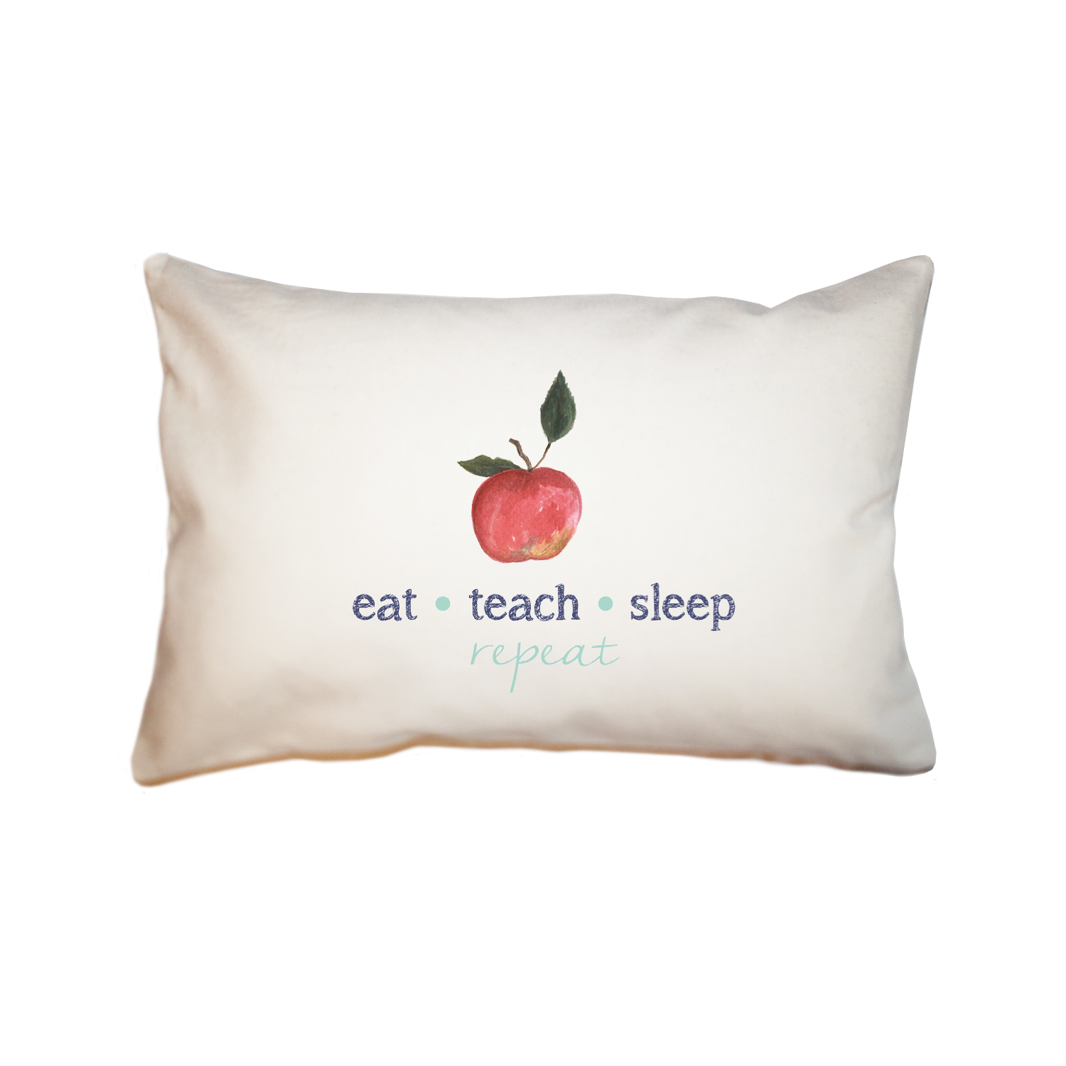 eat teach sleep repeat large rectangle pillow