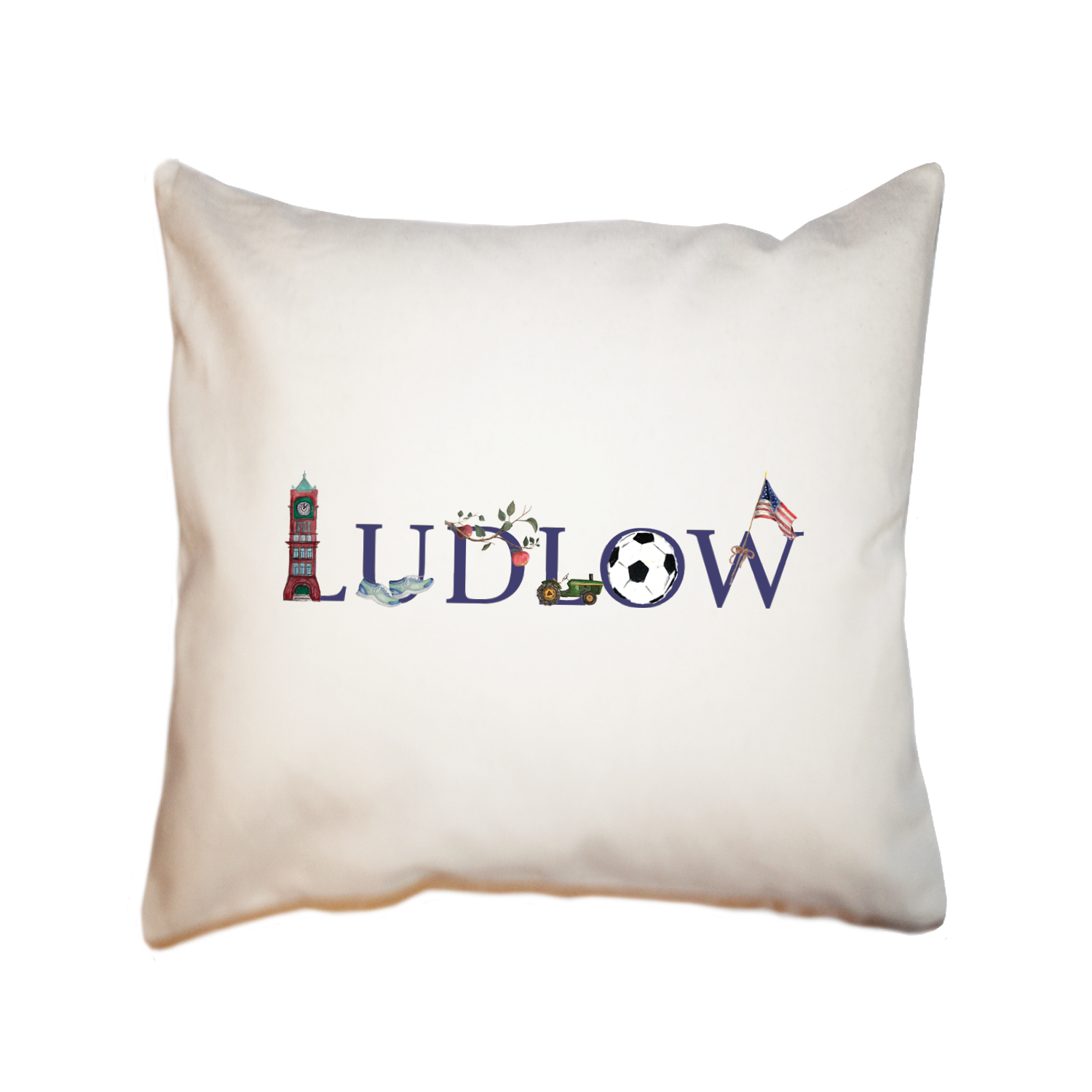 ludlow square pillow