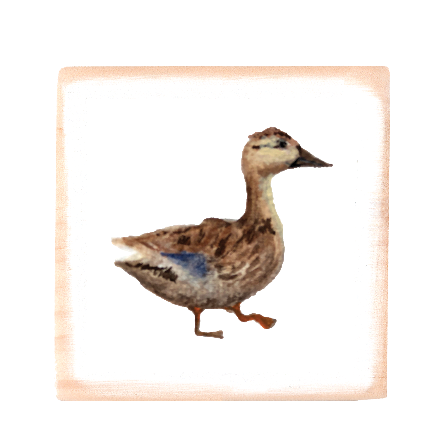 mallard duck square wood block