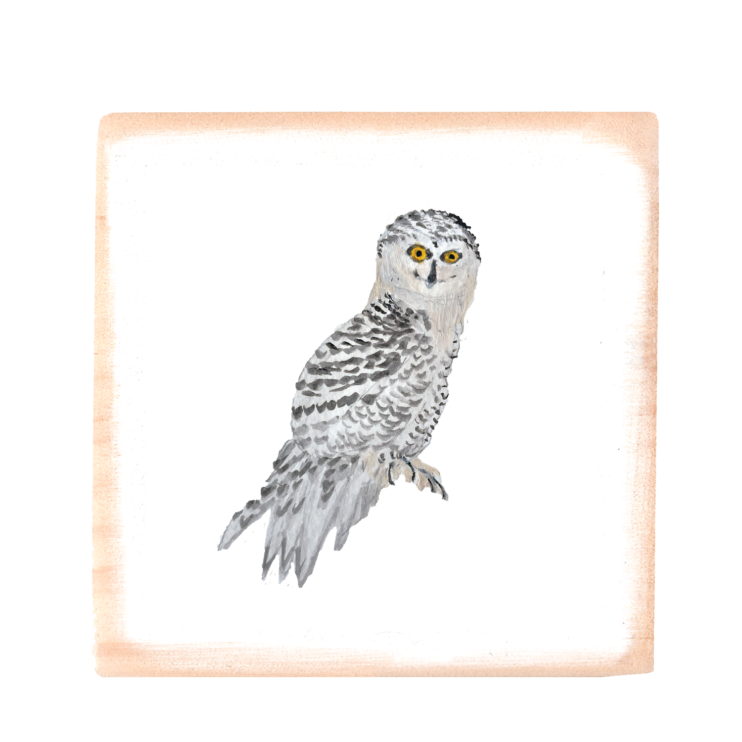 snowy owl square wood block