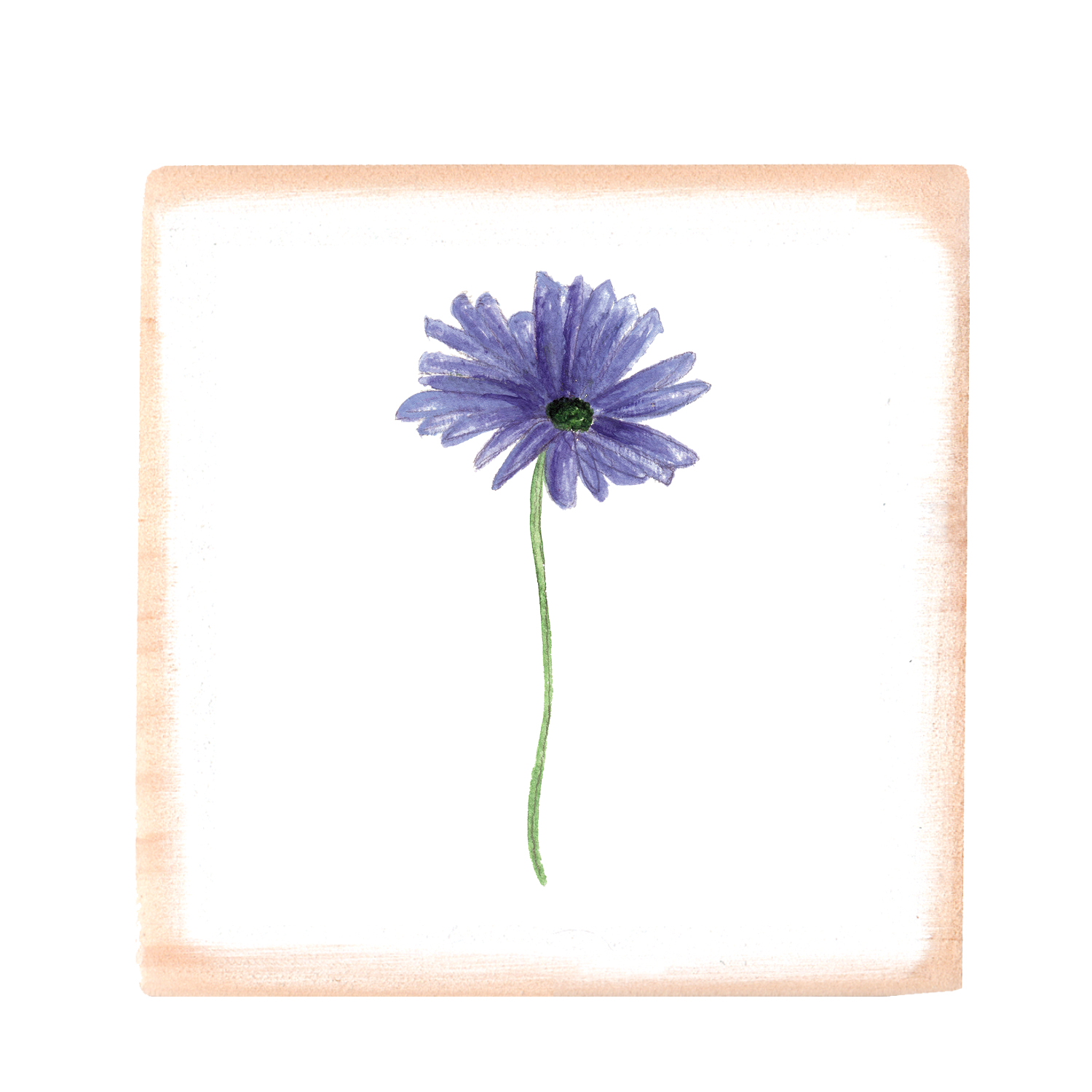 purple gerber daisy square wood block