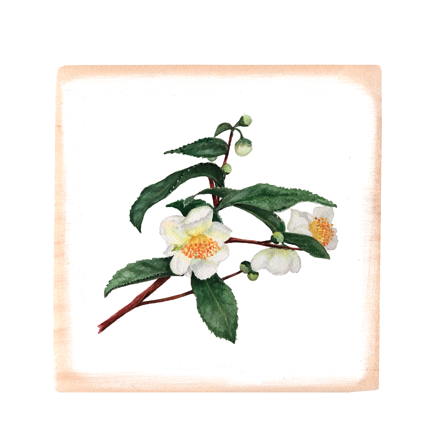 tea leaves square wood block - Tina Labadini Designs