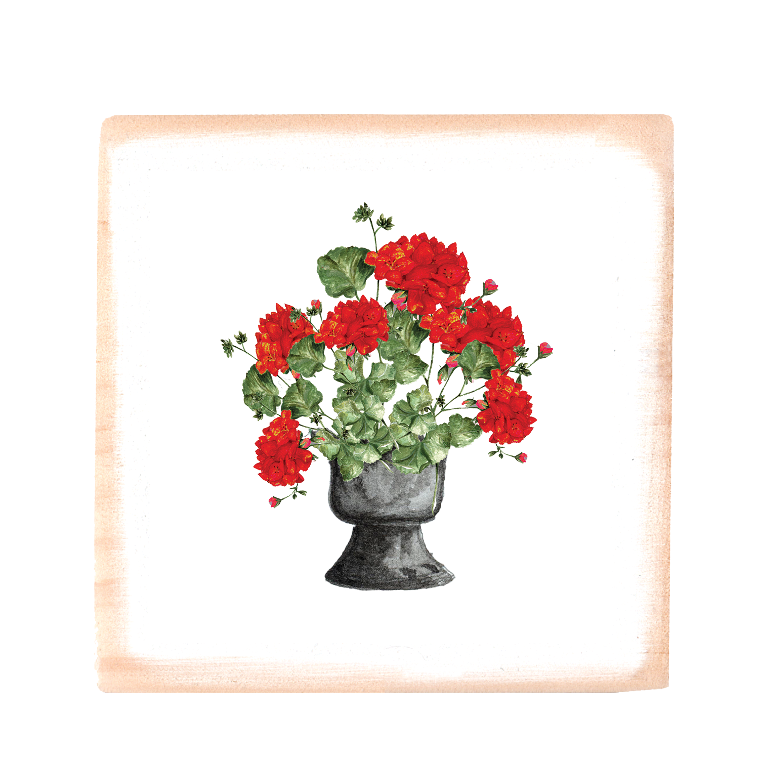 red geraniums in black pot square wood block