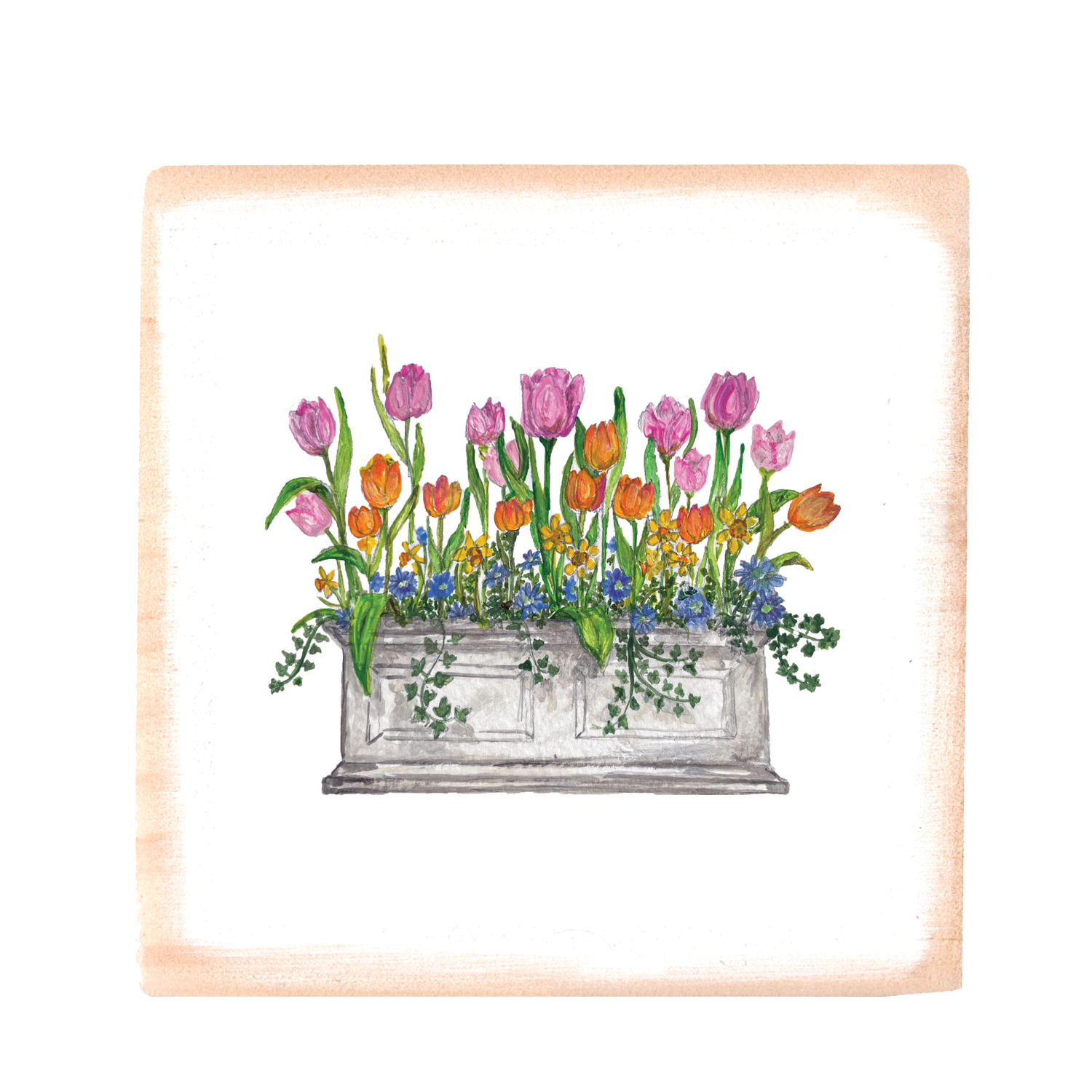 tulips in window box square wood block