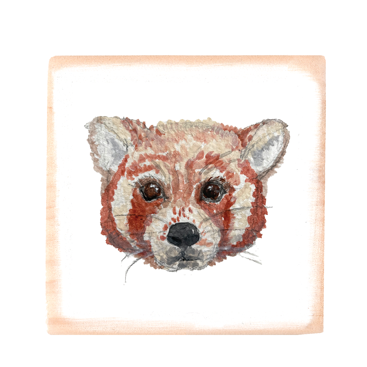 red panda square wood block