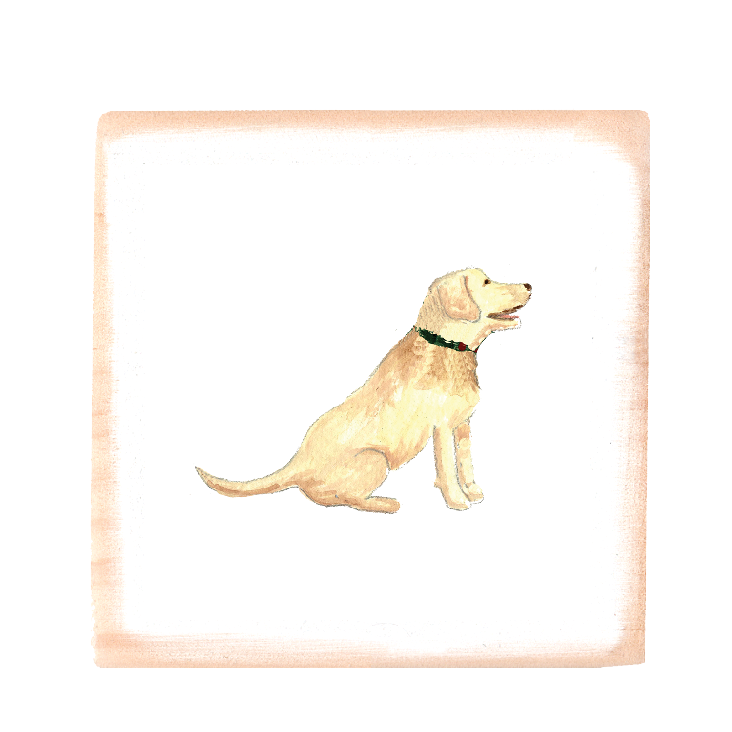 yellow lab sitting square wood block