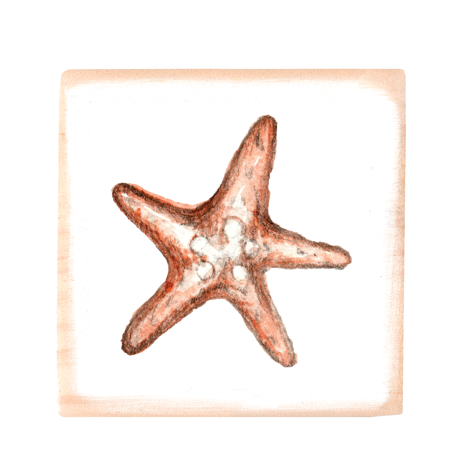 starfish brown square wood block