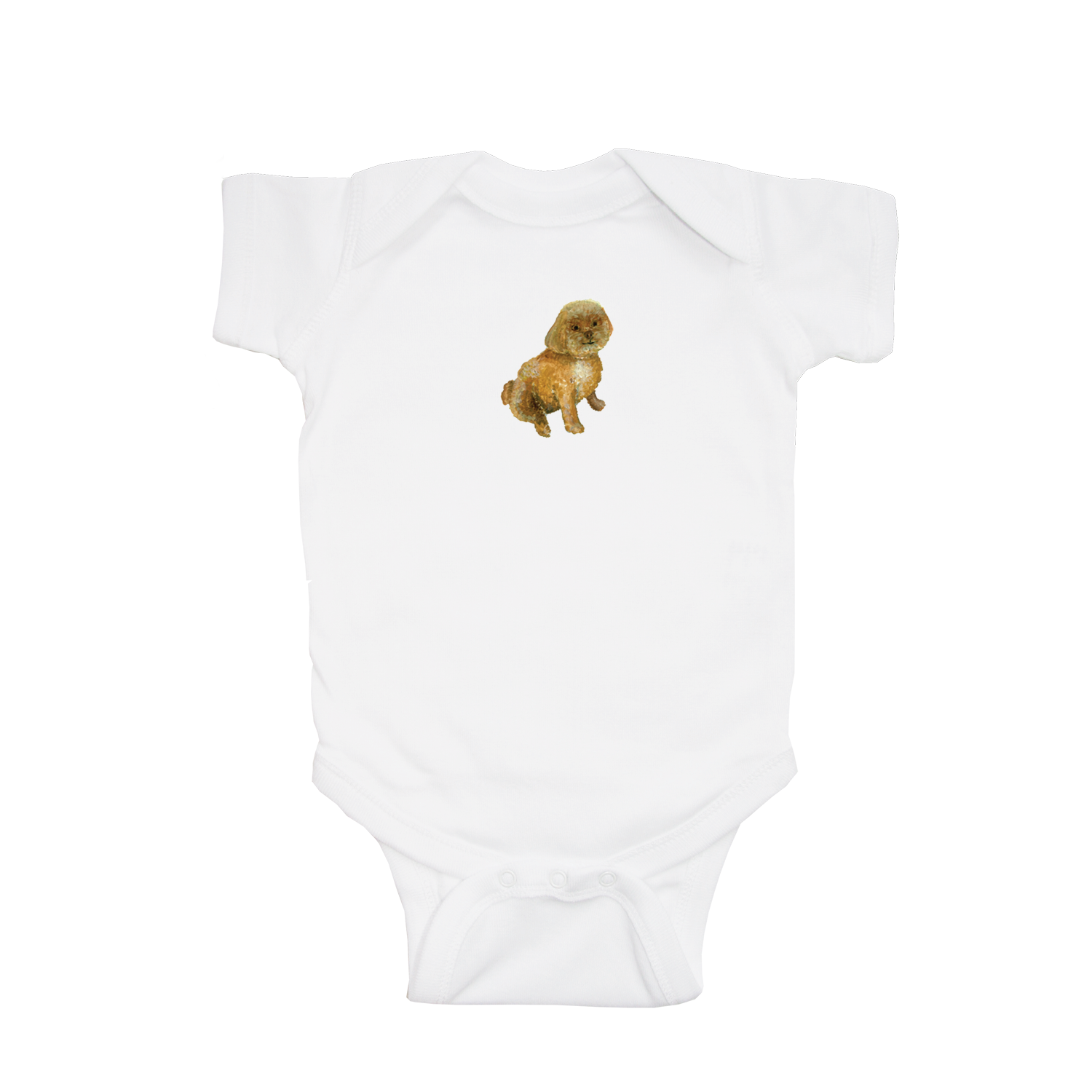 shih poo baby snap up short sleeve