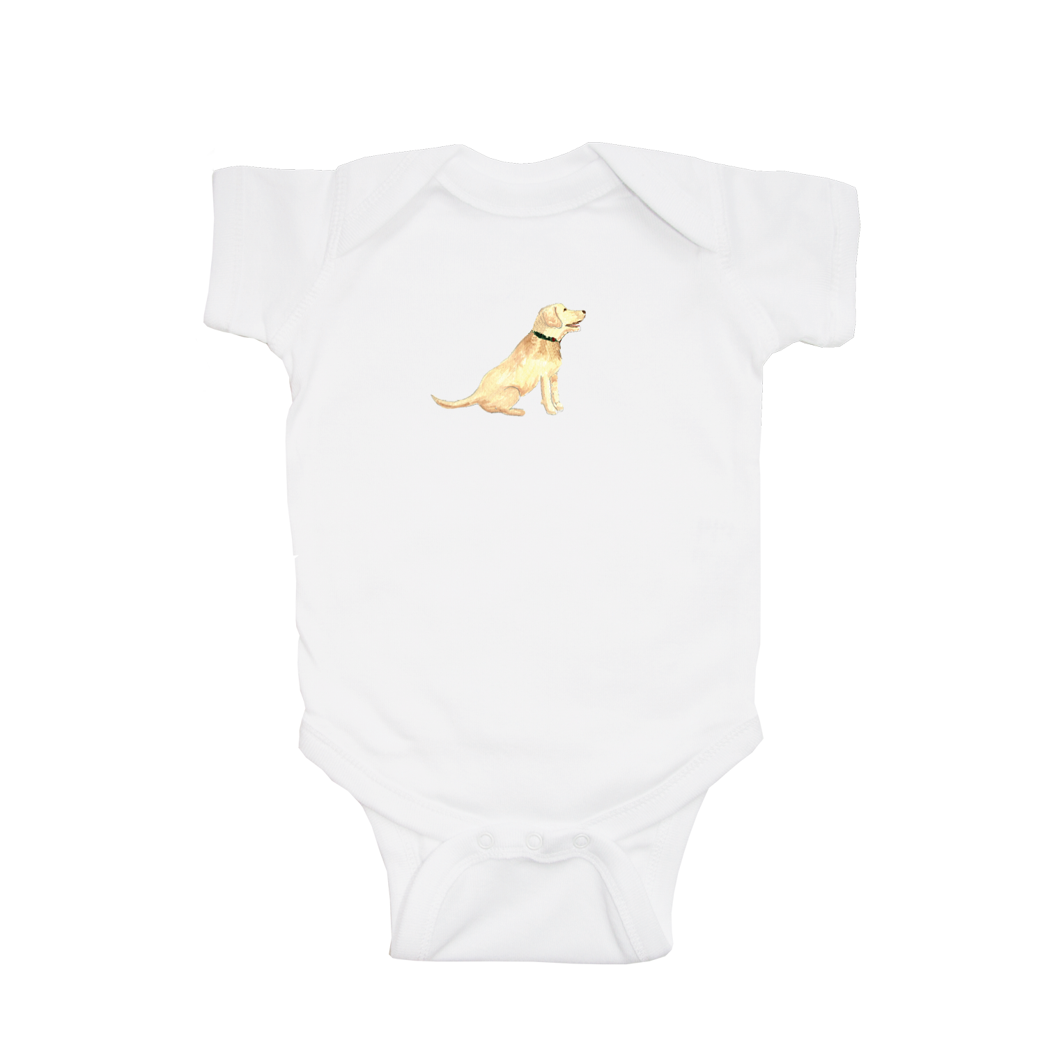 yellow lab sitting baby snap up short sleeve