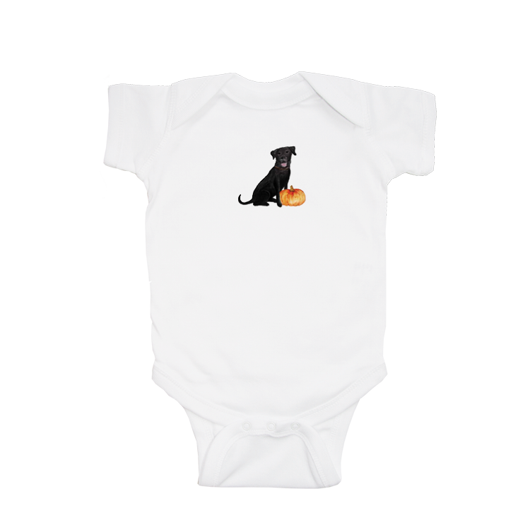 lab with pumpkin baby snap up short sleeve