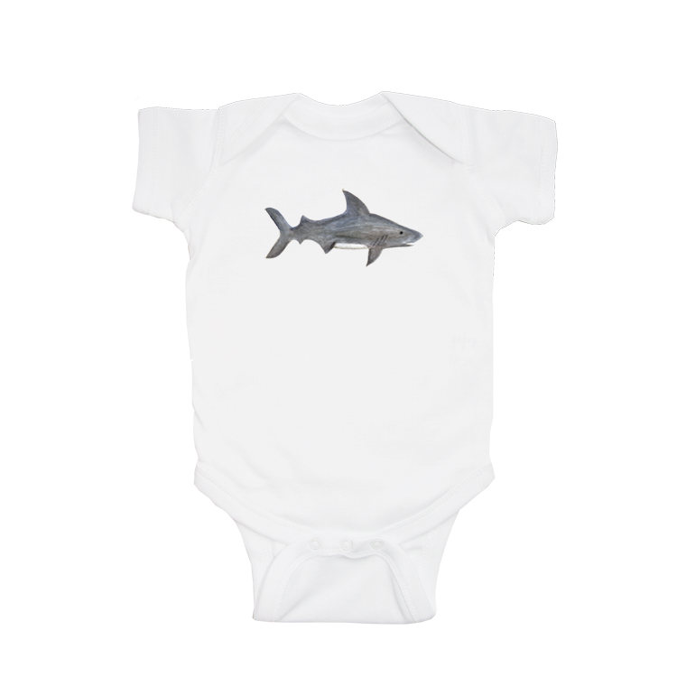 gray shark baby snap up short sleeve