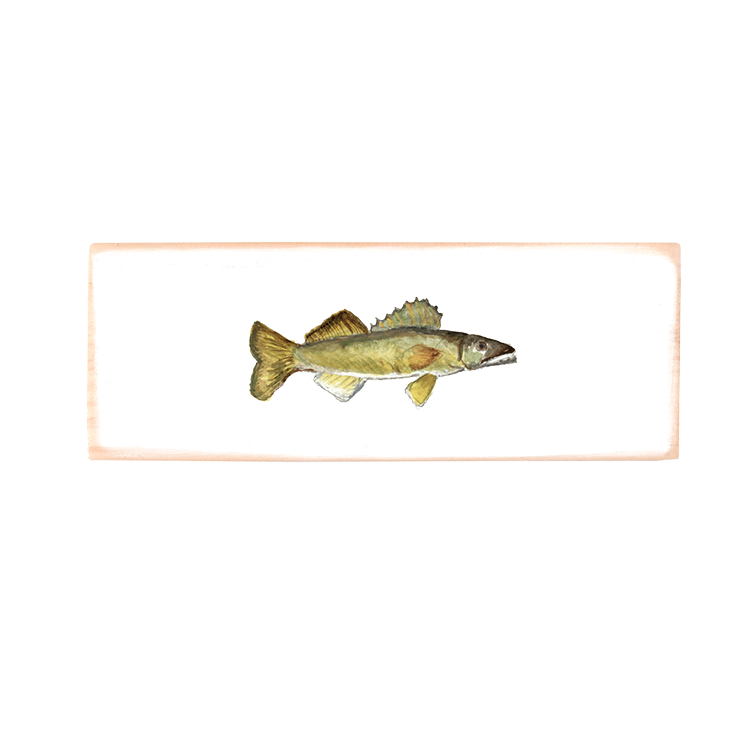 walleye fish rectangle wood block